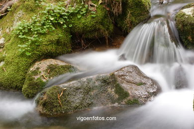 ROTA DE SENDERISMO RIO DÁ FRAGA