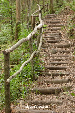 RUTA DE SENDERISMO RIO DA FRAGA