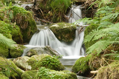 Ruta de senderismo rio da Fraga