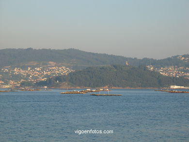 VISTAS DESDE DOMAIO