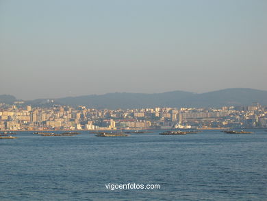 VISTAS DESDE DOMAIO