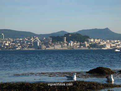 VISTAS DESDE MOAÑA