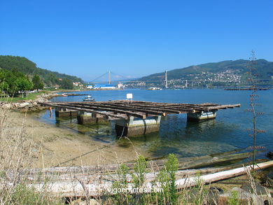 PLAYA Y PARQUE DE O ALMACEN