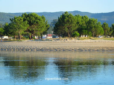 MARISMAS DEL MIÑOR - NIGRÁN