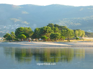 MARISMAS DO MIÑOR - NIGRÁN