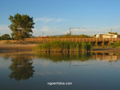 Panxón EVERGLADES - Nigrán