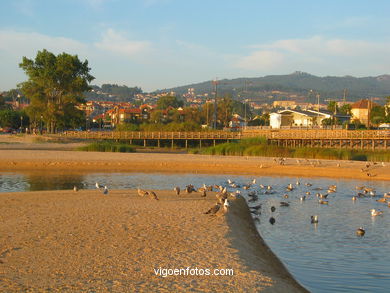 MARISMAS DE PANXÓN - NIGRÁN