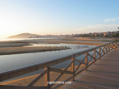 MARISMAS DE PANXÓN - NIGRÁN