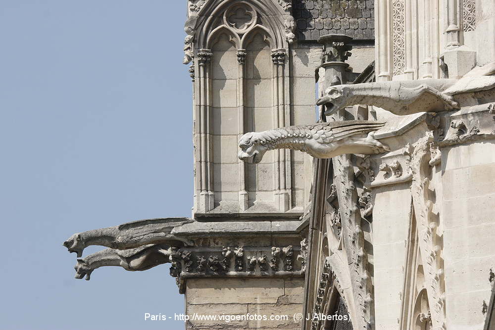 Photos Of Cathedral De Notre Dame Paris France Gargoyles Images Pics Travels Info Paris France P2