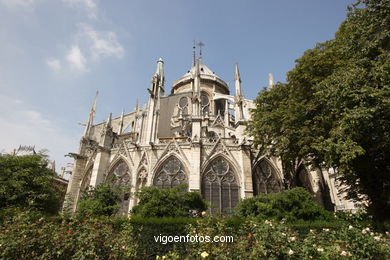 CATHEDRAL DE NOTRE-DAME PARIS, FRANCE - GARGOYLES - IMAGES - PICS & TRAVELS - INFO