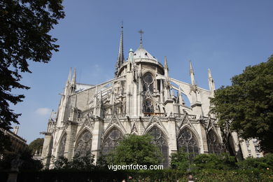 CATHEDRAL DE NOTRE-DAME PARIS, FRANCE - GARGOYLES - IMAGES - PICS & TRAVELS - INFO