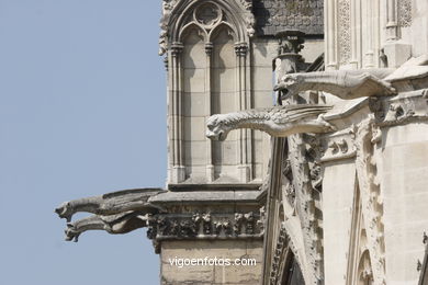 CATHEDRAL DE NOTRE-DAME PARIS, FRANCE - GARGOYLES - IMAGES - PICS & TRAVELS - INFO