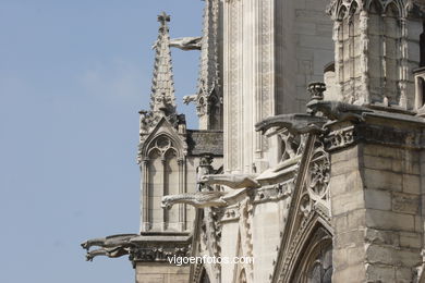 CATHEDRAL DE NOTRE-DAME PARIS, FRANCE - GARGOYLES - IMAGES - PICS & TRAVELS - INFO