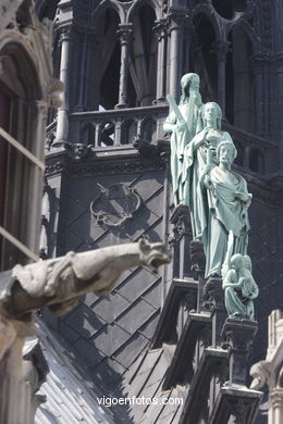 CATEDRAL DE NOTRE-DAME PARIS, FRANCIA - GÁRGOLAS - IMÁGENES DE VIAJES