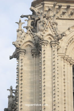 CATEDRAL DE NOTRE-DAME PARIS, FRANCIA - GÁRGOLAS - IMÁGENES DE VIAJES