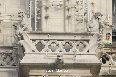 CATHEDRAL DE NOTRE-DAME PARIS, FRANCE - GARGOYLES - IMAGES - PICS & TRAVELS - INFO