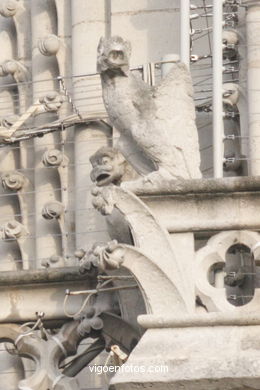 CATHEDRAL DE NOTRE-DAME PARIS, FRANCE - GARGOYLES - IMAGES - PICS & TRAVELS - INFO