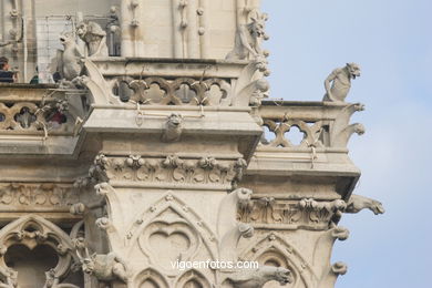 CATEDRAL DE NOTRE-DAME PARIS, FRANCIA - GÁRGOLAS - IMÁGENES DE VIAJES