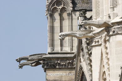 GARGOYLES OF THE CATHEDRAL OF NOTRE-DAME PARIS, FRANCE - IMAGES - PICS & TRAVELS - INFO