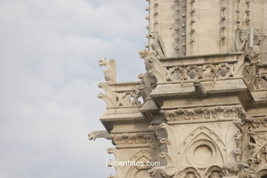 GÁRGOLAS DE LA CATEDRAL DE NOTRE-DAME PARIS, FRANCIA - GARGOLAS - IMÁGENES DE VIAJES