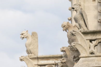 GÁRGOLAS DE LA CATEDRAL DE NOTRE-DAME PARIS, FRANCIA - GARGOLAS - IMÁGENES DE VIAJES