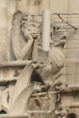 GÁRGOLAS DE LA CATEDRAL DE NOTRE-DAME PARIS, FRANCIA - GARGOLAS - IMÁGENES DE VIAJES