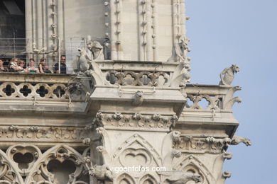 GÁRGOLAS DE LA CATEDRAL DE NOTRE-DAME PARIS, FRANCIA - GARGOLAS - IMÁGENES DE VIAJES