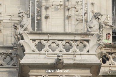 GARGOYLES OF THE CATHEDRAL OF NOTRE-DAME PARIS, FRANCE - IMAGES - PICS & TRAVELS - INFO