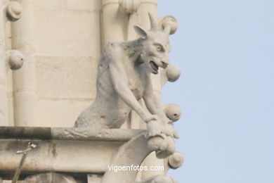 GÁRGOLAS DE LA CATEDRAL DE NOTRE-DAME PARIS, FRANCIA - GARGOLAS - IMÁGENES DE VIAJES