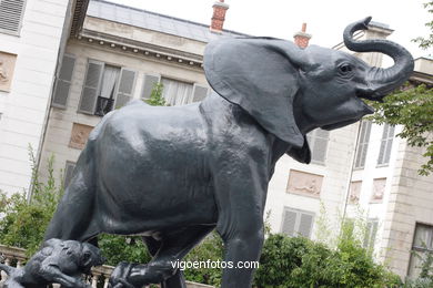 MUSEO D'ORSAY - PARÍS, FRANCIA - MUSÉE ORSAY - IMÁGENES DE VIAJES