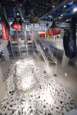 MUSEO POMPIDOU - PARIS, FRANCIA - CENTRO GEORGES POMPIDOU - IMÁGENES DE VIAJES