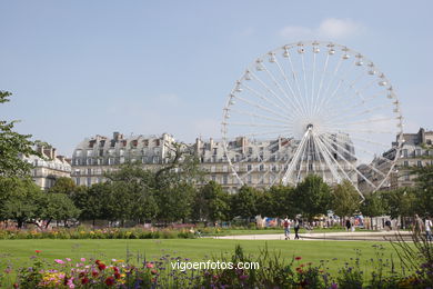 JARDINES TUILERIES - PARIS, FRANCIA - JARDIN DU CARROUSEL - IMÁGENES DE VIAJES