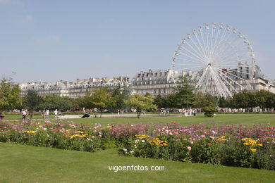 JARDINES TUILERIES - PARIS, FRANCIA - JARDIN DU CARROUSEL - IMÁGENES DE VIAJES