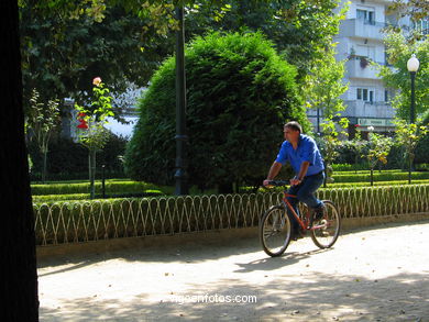 ALAMEDA DE REDONDELA.