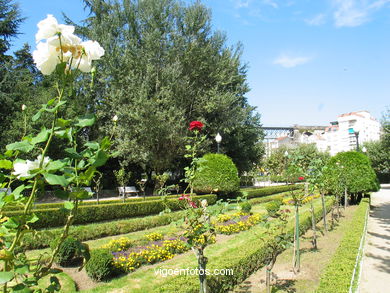 ALAMEDA DE REDONDELA.