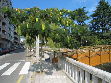 ALAMEDA DE REDONDELA.