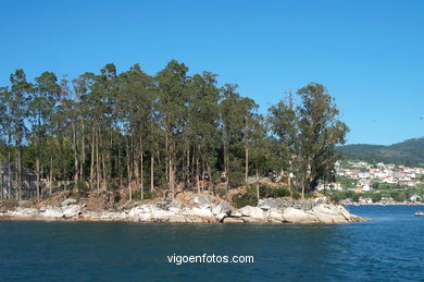 ILHA DE SAN SIMÓN