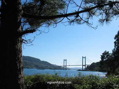 PUENTE DE RANDE