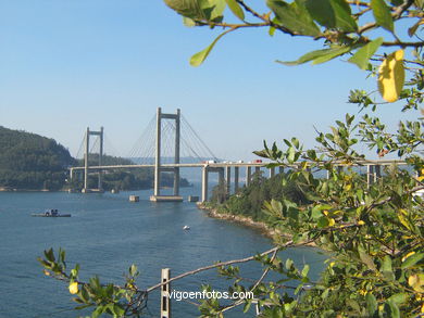 PUENTE DE RANDE