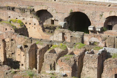 Coliseo Romano - Interiores (70 d.C.). 