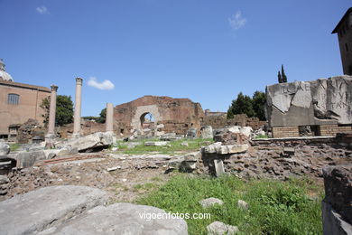 Basilica Emilia (179 a.C.). 