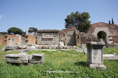 Foro Romano - Vistas. 