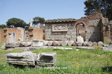 Foro Romano - Vistas. 