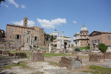 Foro Romano - Vistas. 