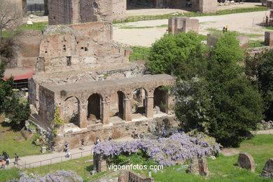 Foro Romano - Vistas. 