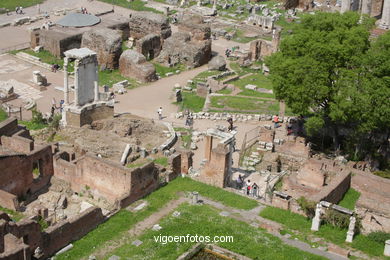 Foro Romano - Vistas. 