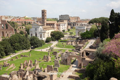 Foro Romano - Vistas. 