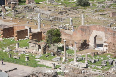 Foro Romano - Vistas. 