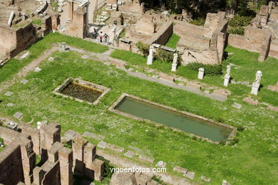 Templo de Vesta y Casa de Las Virgenes Vestales (240 a.C.). 