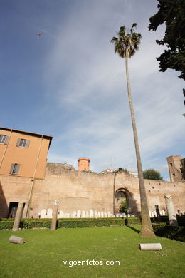 Termas de Diocleciano. 